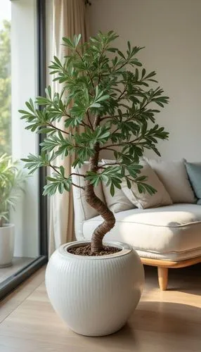decorative tree in pot, living room,home staging,an artificial bonsai tree in a white bowl sitting on a wood floor,houseplant,ficus,bamboo plants,bonsai tree,boxwood,contemporary decor,modern decor,bo