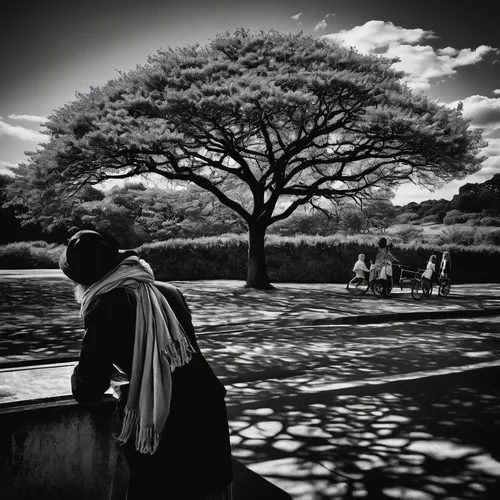 Create a vibrant and energetic image by adding vivid colors to the black and white photograph.,monochrome photography,bodhi tree,korean war memorial,street photography,the japanese tree,blackandwhitep