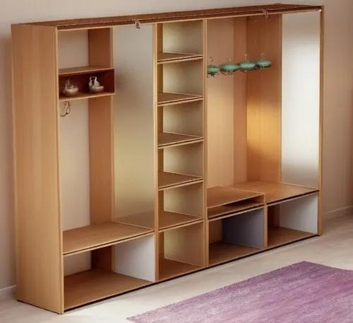 a closet that has shelves in it and a rug,storage cabinet,bookcases,walk-in closet,wardrobes,bookcase,highboard,armoire,cabinetry,cupboard,schrank,tv cabinet,garderobe,shelving,danish furniture,wooden
