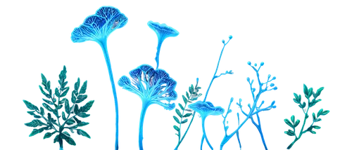Fungal organism, intricate mycelium network, vector illustration, glowing blue bioluminescent, delicate threads, organic structures, transparent background, microscopic view, 3D render, vibrant colors