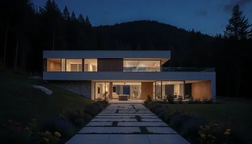 Modern country house in high-tech style. Located in the forest on the background of the hill. Materials, porcelain tile wood plastic. In front of the house a path with flower beds and alpine hills. Fr