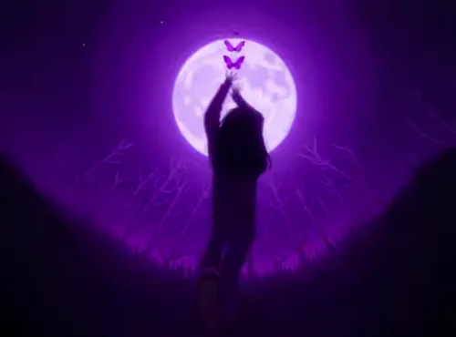 Travelling zoom,a silhouette of a woman holding a erfly in the night,purple moon,dethklok,wavelength,crown chakra,wiccan,qabalah
