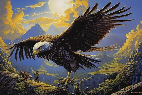 Write a poem capturing the freedom and empowerment one feels while using a Visa card to travel the world.,eagle illustration,mongolian eagle,african eagle,eagle,eagles,of prey eagle,eagle drawing,amer