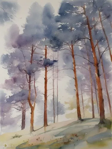 Сосны летом,a painting of some trees with no leaves,watercolor pine tree,watercolor tree,watercolor background,watercolour,watercolor,watercolours