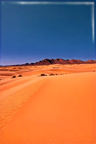 Desert landscape, endless dunes, golden sand, clear blue sky, few cumulus clouds, strong sunlight, harsh shadows, rocky outcrops, sparse cacti, distant mirage, low angle shot, warm color tone, high co