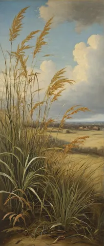 Peter Campbell - Winter Grasses,barley field,wheat field,coastal landscape,wheat fields,wheat crops,rural landscape,farm landscape,landscape with sea,wheat grasses,beach landscape,dune grass,grasses i
