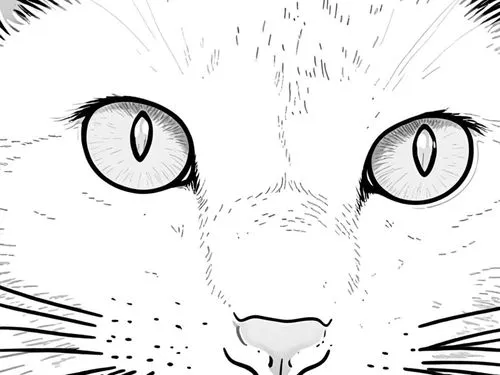 an image of a close up cat's eyes,cat line art,eyes line art,line art animal,whiskers,whisker,whiskered