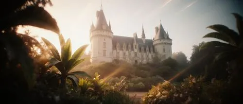 Cinematic picture of a near-fantastical castle integrated with nature, glowing soft warm light, surreal lush gardens with oversized plants and glowing flora, ethereal atmosphere.,the sun shines on a l