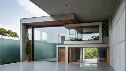 an outside area with a plant in the corner,glass wall,glass facade,modern house,cubic house,structural glass,modern architecture,cantilevered,cube house,glass panes,dunes house,cantilevers,interior mo