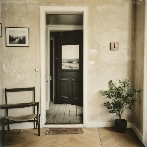 home door,the threshold of the house,doorway,wooden door,hallway space,house entrance,old door,front door,open door,hinged doors,shabby-chic,one-room,danish room,home interior,garden door,hallway,door