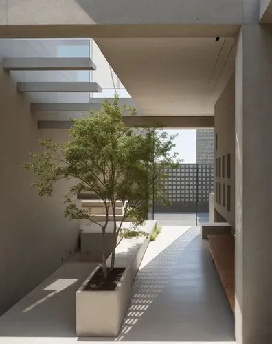 landscape design sydney,garden design sydney,exposed concrete,3d rendering,landscape designers sydney,neutra,render,associati,courtyard,landscaped,breezeway,amanresorts,japanese zen garden,concrete,co