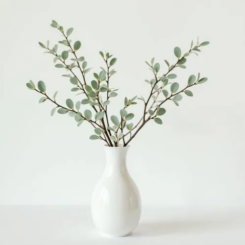 delicate elegant decorative branches with small green leaves ,on white wall,frontview, simple elegant  white chalk vase
,green leaves in white vase against a white wall,a sprig of white lilac,boxwood,