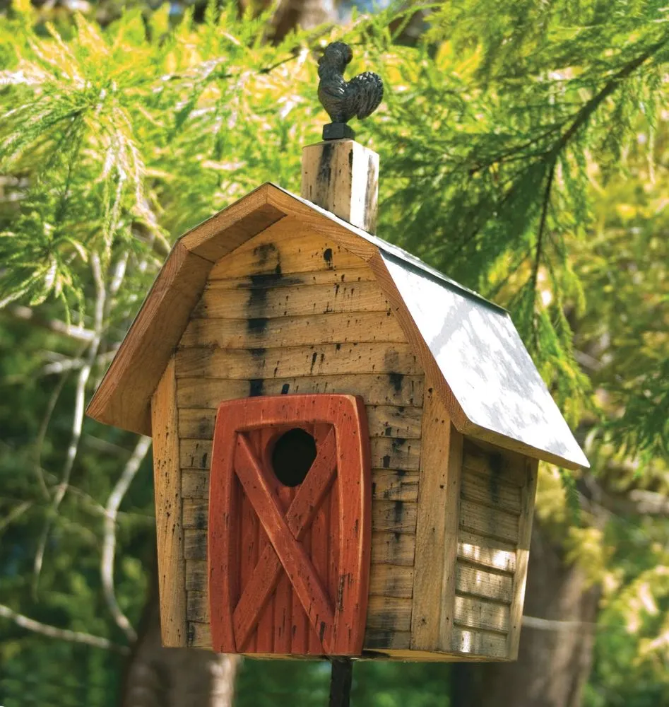 Our New Favorite Backyard Store