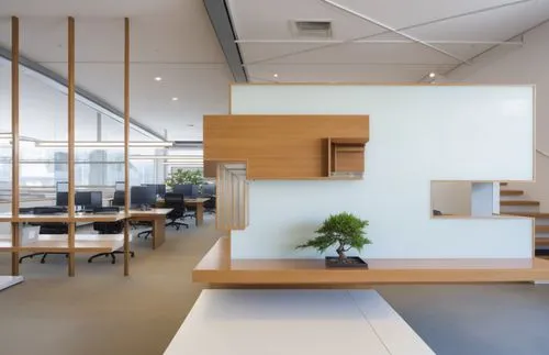 Japanese-style potted plant,modern office,offices,oticon,bureaux,blur office background,steelcase,interior modern design,associati,creative office,assay office,staroffice,gensler,modern kitchen interi