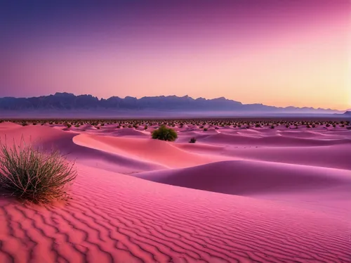 pink wallpapers, desert,desert desert landscape,desert landscape,pink sand dunes,coral pink sand dunes,capture desert,libyan desert,flowerful desert,desert background,the desert,argentina desert,dubai