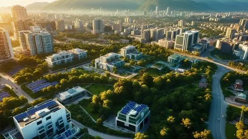 A hyperrealistic, cinematic depiction of a futuristic megacity at sunset. Sleek, towering skyscrapers with integrated green spaces and solar panels.  High-speed maglev trains seamlessly weave through 