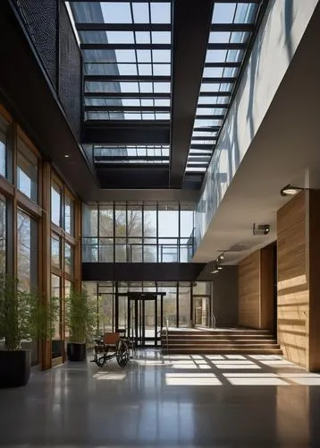 Accessible modern architecture, building exterior, glass facade, steel beams, concrete columns, ramps instead of stairs, wide doors, automatic sliding doors, Braille signage, wheelchair-friendly eleva