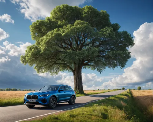 <lora:å«å¢:0.9>,buidling,no humans,outdoors,tree,sky,cloud,grass,scenery,ground vehicle,day,motor vehicle,blue sky,road,car,bush,building,cloudy sky,,renault twingo,bmw x1,volvo c30,ecosport,bmw 1 s