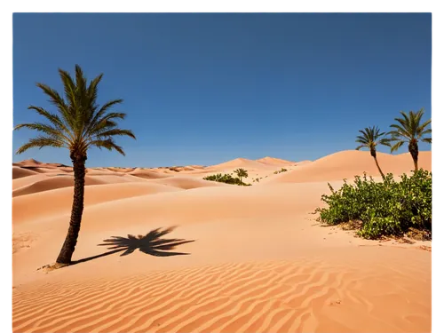 Desert landscape, HD quality, sandy dunes, endless blue sky, hot sun, few palm trees, oasis in distance, realistic textures, detailed shadows, warm color tone, cinematic composition, low angle shot, d