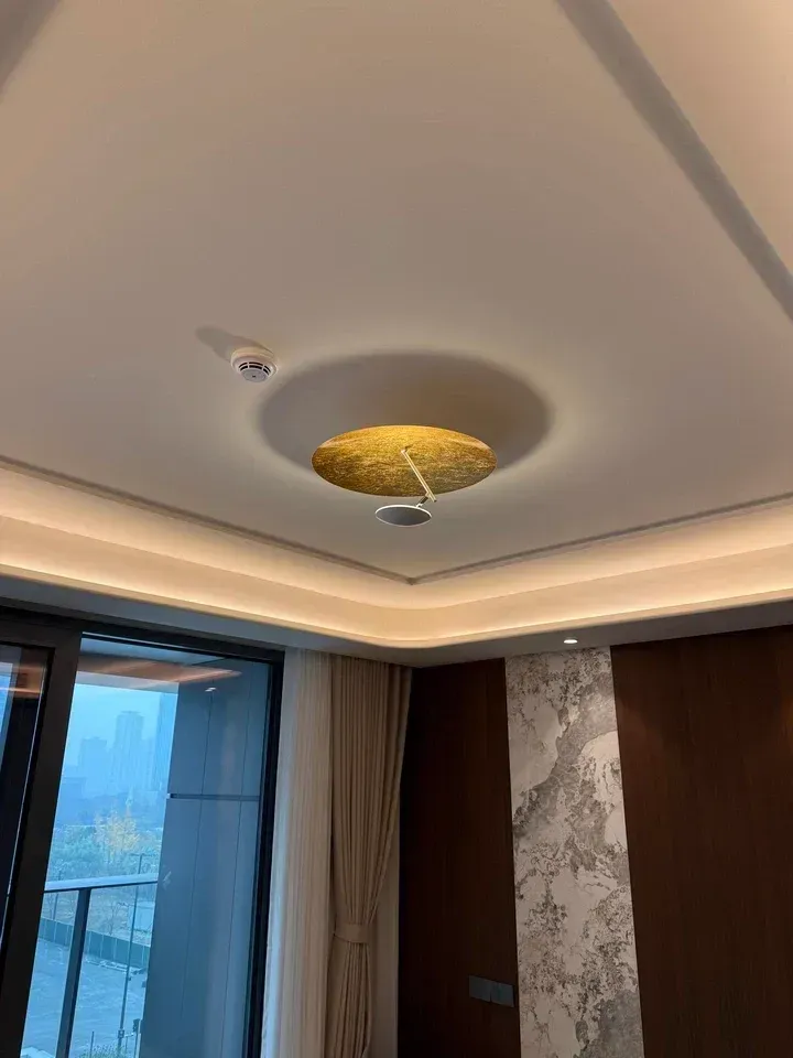 Lederam Plate Ceiling Light