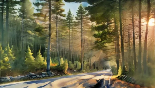 cruising through the woods,forest road,finnish forest,coniferous forest,fromme,mountain road,world digital painting,bavarian forest,digital painting,alpine drive,forest landscape,forest background,spr