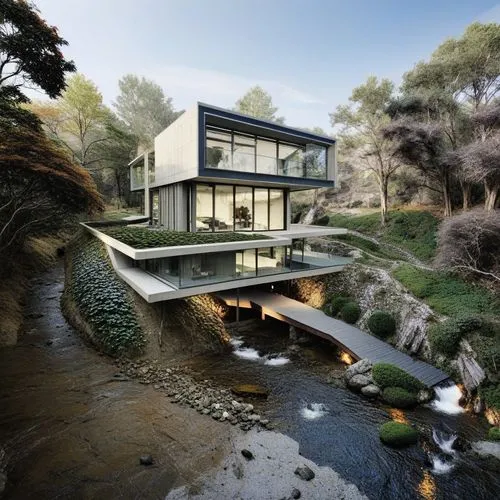 Stream-Level View: Show the building from the level of the meandering stream, highlighting how it interacts with the water body and how the design complements the flow of the stream.
