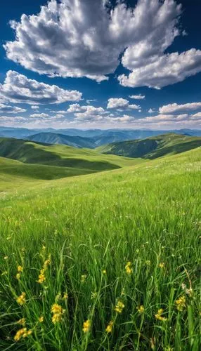 辽阔的草原，蓝天白云,windows wallpaper,nature background,green wallpaper,meadow landscape,aaa,grasslands,landscape background,green landscape,aaaa,tuscan,green fields,toscana,green meadow,nature wallpaper,backg