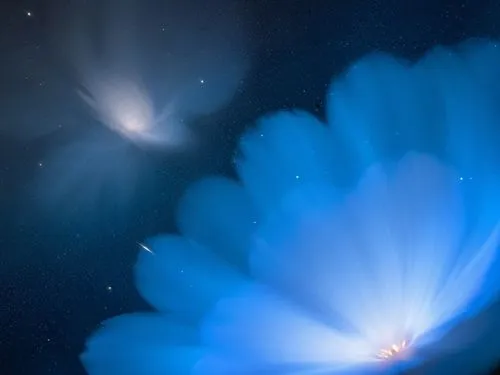 cosmos,two blue flower like shapes on a dark background,sharpless,comets,heliospheric,auroral,noctilucent,protostar