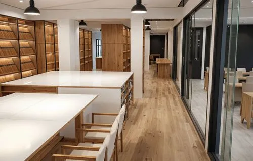 the interior of a liry with desks and chairs,wood casework,cabinetmakers,carrels,cabinetmaker,cabinetry,assay office,bookbinders,pigeonholes,cabinetmaking,cabinets,casework,modern office,joinery,workb