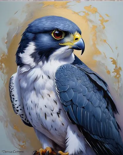 WHITE BACKGROUND,  CUTE BAROQUE peregrine falcon
,lanner falcon,peregrine falcon,saker falcon,falcon,bird painting,portrait of a rock kestrel,eagle illustration,falconiformes,eagle drawing,new zealand
