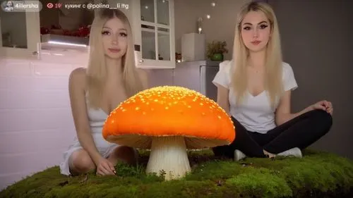сидящая на вершине очень большого светящегося гриба,two girls are sitting on the grass in front of a large mushroom,mushroom island,mushroom type,anti-cancer mushroom,toadstools,mushroom landscape,mus