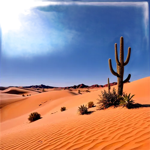 Desert landscape, sandy dunes, clear blue sky, sun overhead, hot weather, rocky formations, cactus plants, vast emptiness, panoramic view, warm lighting, low angle shot, cinematic composition, high co