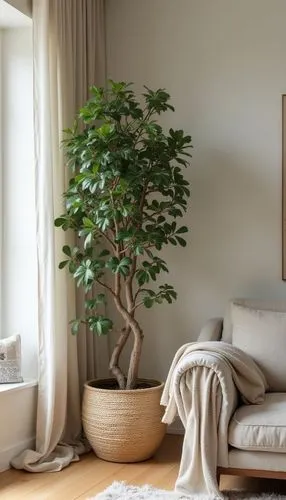 decorative tree in pot, living room,home staging,a large bonsai tree sitting on top of a wooden table,houseplant,bamboo plants,intensely green hornbeam wallpaper,bamboo curtain,house plants,houseplant