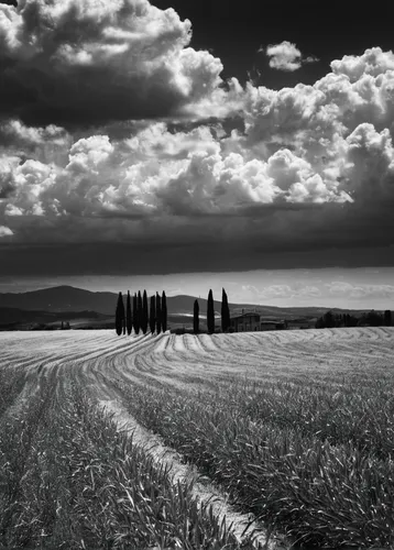 Italy Scenery Fields Sky Clouds Grass Tuscany Nature wallpaper,ring of brodgar,andreas cross,tuscany,stone circle,arid landscape,blackandwhitephotography,chesil beach,black landscape,fields of wind tu
