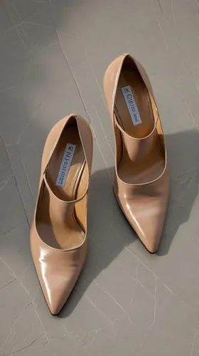 shoe Design,ballet flats,achille's heel,stack-heel shoe,pointed shoes,ballet shoes,pointe shoes,capezio,coppery,brown leather shoes,pointes,coppered,slingbacks,krakoff,ballerinas,heeled shoes,brown sh