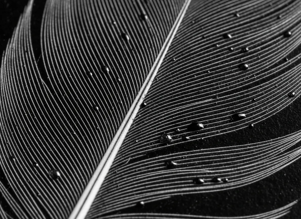 Makro-Nahaufnahme einer KI-generierten Scratchboard-Textur, die die scharfen Linien und tiefen Schwarztöne der Details einer Feder hervorhebt.