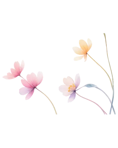 Floral wallpapers, blooming flowers, colorful petals, delicate stems, soft focus, shallow depth of field, pastel colors, watercolor texture, subtle gradient background, gentle lighting, 3/4 compositio