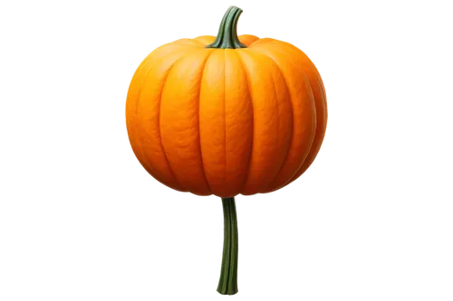 Pumpkin, orange, curved body, green stem, yellow highlights, detailed texture, rounded shape, symmetrical composition, warm color tone, soft lighting, close-up shot, shallow depth of field, PNG transp