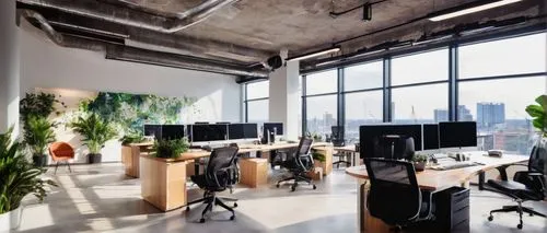 Modern architectural office, recruitment agency interior, minimalist chic, wooden desks, ergonomic chairs, floor-to-ceiling windows, cityscape view, plants on shelves, industrial-style lighting fixtur