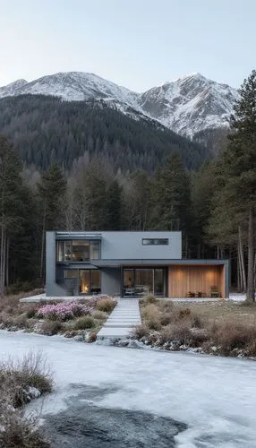 Modern country house in high-tech style. Located in the forest on the background of the hill. Materials, porcelain tile wood plastic. In front of the house a path with flower beds and alpine hills. Fr