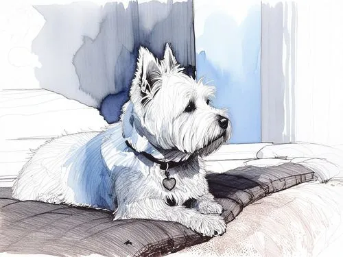a drawing of a little dog sitting on a bed,schnauzer,dog illustration,watercolor dog,dog drawing,pet portrait,blue pillow