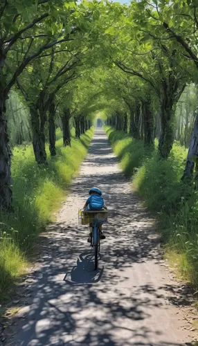 Write a peaceful scene of riding a bicycle along a serene countryside path.,bicycle path,bicycle ride,bike path,road bicycle,bicycle lane,bike ride,bicycling,artistic cycling,bicycle,bicycle riding,ro