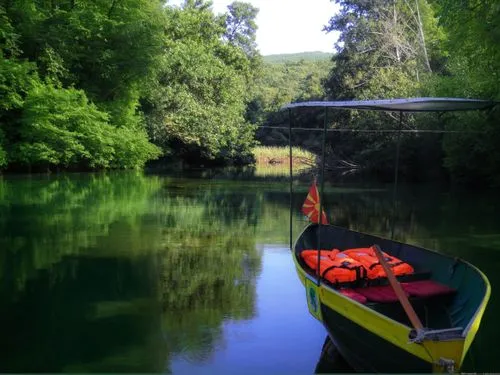 a boat in a green lake,a boat is tied to a shore near the woods,the danube delta,danube delta,wekiva,bayou la batre,riverine,harpeth,kovco,wimberley,giverny,cenote,cahaba,atchafalaya,ocklawaha,altamah