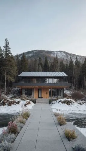 Modern country house in high-tech style. Located in the forest on the background of the hill. Materials, porcelain tile wood plastic. In front of the house a path with flower beds and alpine hills. Fr