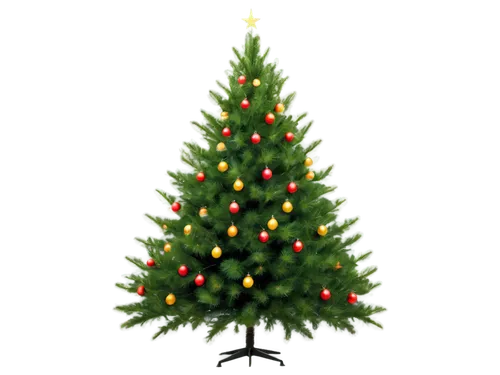 nordmann fir,canadian fir,fir tree decorations,fir tree,spruce tree,christmas tree pattern,decorate christmas tree,fir,christmas pine,fir tree ball,christmas tree,fir branch,the christmas tree,trimming christmas tree,colorado spruce,balsam fir,pine-tree,chile fir,seasonal tree,bo tree,Unique,3D,Toy