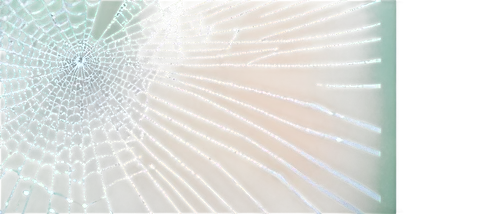 spider's web,spider web,web,spider net,spiderweb,spider silk,spiderwebs,spider network,cobweb,web element,webbed,morning dew in the cobweb,cobwebs,netburst,webs,cobwebbed,broken pane,anansi,structural glass,glass pane,Art,Classical Oil Painting,Classical Oil Painting 34