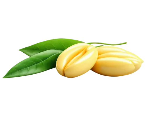 lemon background,lemon wallpaper,pinya,mangoes,kacang,mangos,banane,pine nuts,aroyo,macadamias,ercilla,star fruit,ylang,carambola,nangka,muskmelon,suman,spring leaf background,macadamia,margarines,Art,Classical Oil Painting,Classical Oil Painting 27