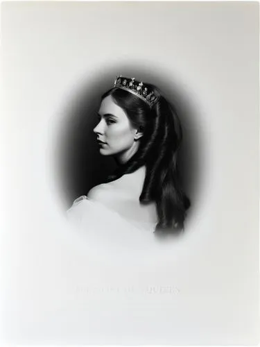 Portrait of a queen, technically optimal high-resolution contemporary black and white photographic art.,an image of a woman wearing a tiara,crown silhouettes,tiara,princess sofia,prinses,qeii,celtic q