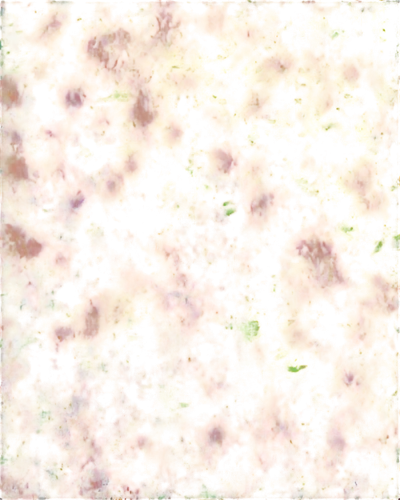 kngwarreye,flowers png,degenerative,crayon background,dot,terrazzo,pintada,cellular,oilpaper,carpet,yellow wallpaper,seamless texture,splotch,spongiform,demosponge,transparent image,biofilm,flowerdew,klimt,spatter,Illustration,Vector,Vector 14