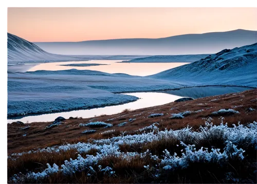 tussock,kentmere,thornthwaite,dune landscape,tablelands,coire,cardrona,purple landscape,arid landscape,wainwrights,carneddau,liddesdale,virtual landscape,blencathra,whernside,glenshee,salt meadow landscape,moraine,ice landscape,affric,Illustration,Realistic Fantasy,Realistic Fantasy 36